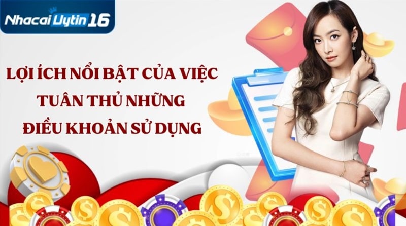 Lợi ích nổi bật của việc tuân thủ những điều khoản sử dụng
