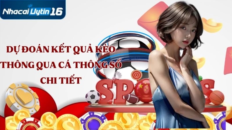 Dự đoán kết quả kèo thông qua cá thông số chi tiết