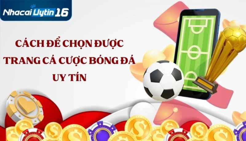 Cách để chọn được trang cá cược bóng đá uy tín